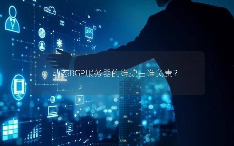 动态BGP服务器的维护由谁负责？