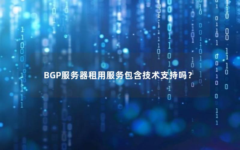 BGP服务器租用服务包含技术支持吗？