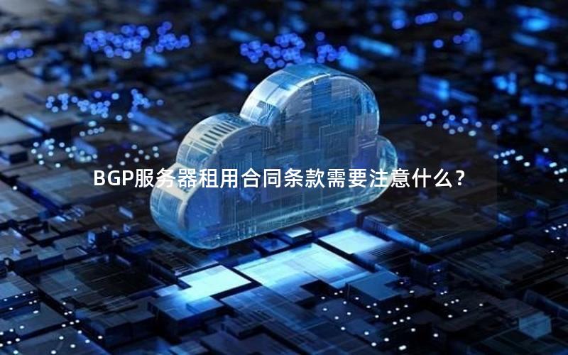 BGP服务器租用合同条款需要注意什么？