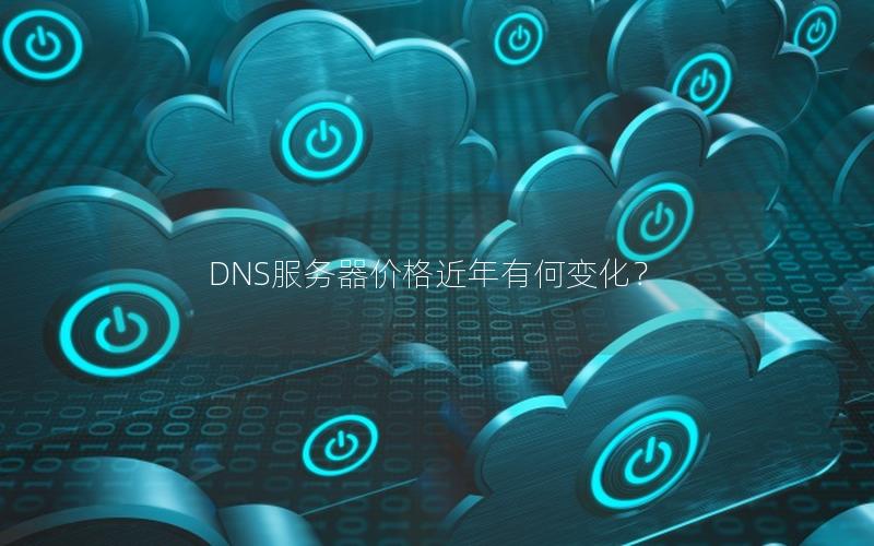 DNS服务器价格近年有何变化？