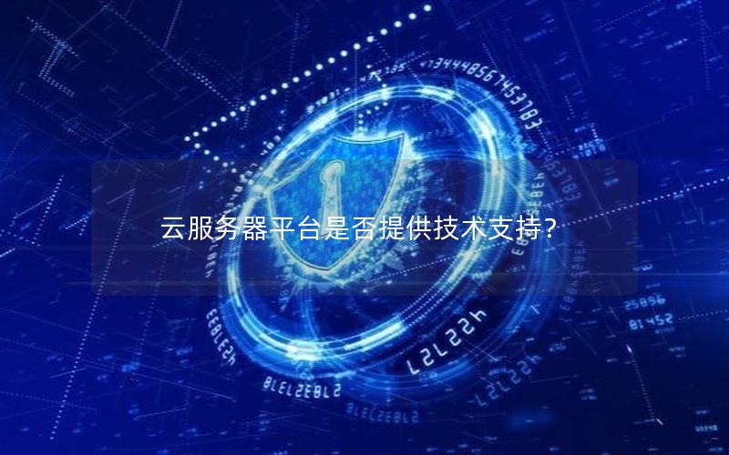 云服务器平台是否提供技术支持？