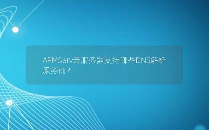 APMServ云服务器支持哪些DNS解析服务商？