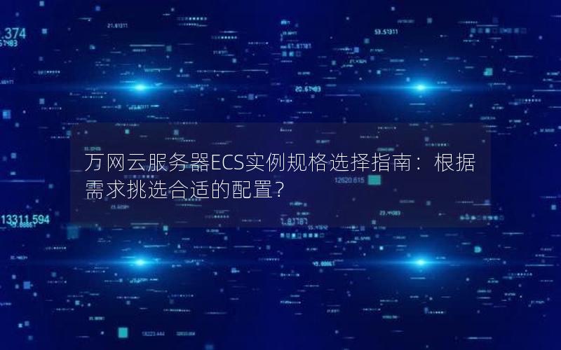 万网云服务器ECS实例规格选择指南：根据需求挑选合适的配置？