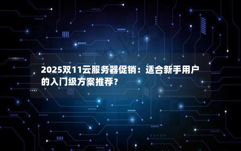 2025双11云服务器促销：适合新手用户的入门级方案推荐？