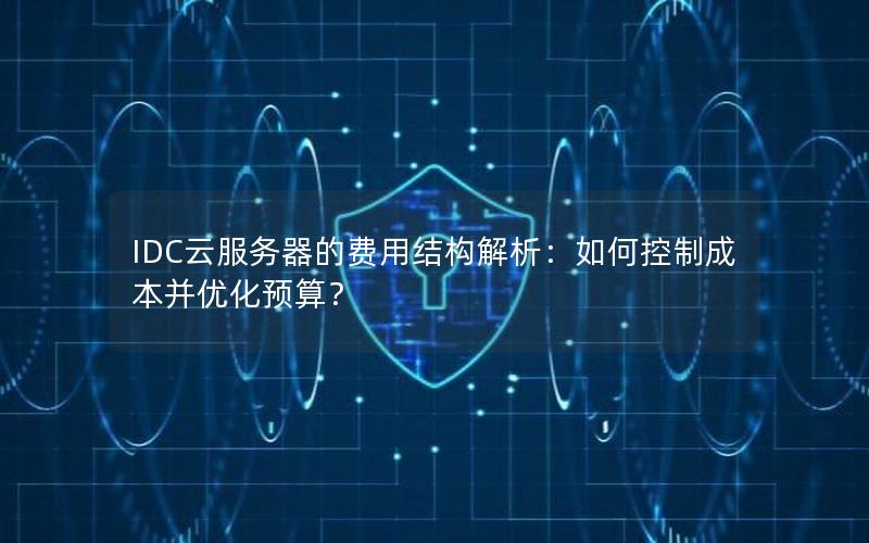 IDC云服务器的费用结构解析：如何控制成本并优化预算？