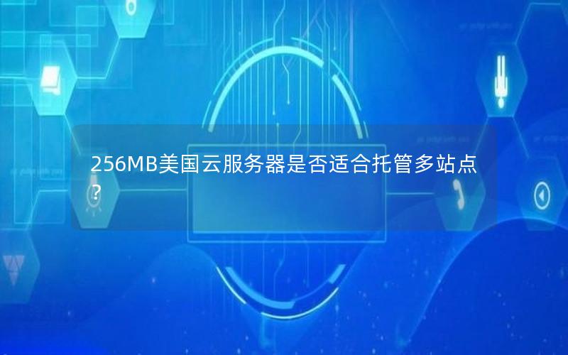 256MB美国云服务器是否适合托管多站点？