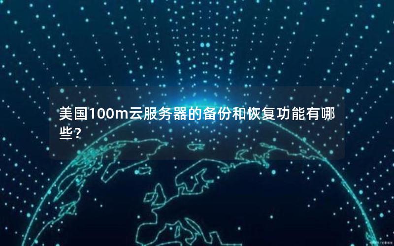 美国100m云服务器的备份和恢复功能有哪些？