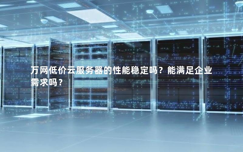 万网低价云服务器的性能稳定吗？能满足企业需求吗？