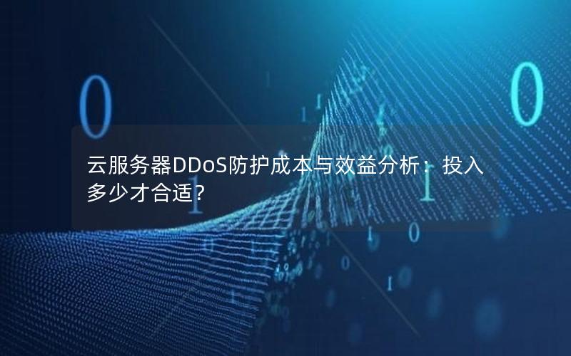 云服务器DDoS防护成本与效益分析：投入多少才合适？