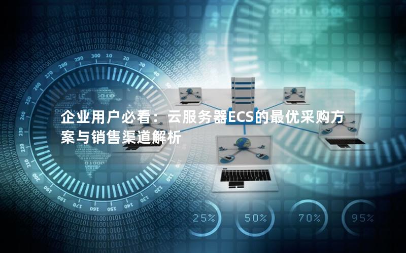 企业用户必看：云服务器ECS的最优采购方案与销售渠道解析