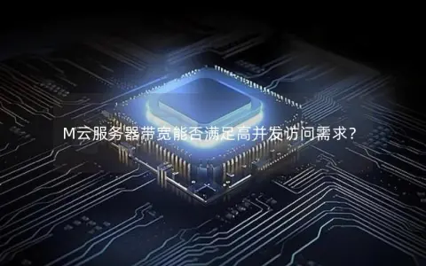 1M带宽的云服务器能够承载多少并发用户？