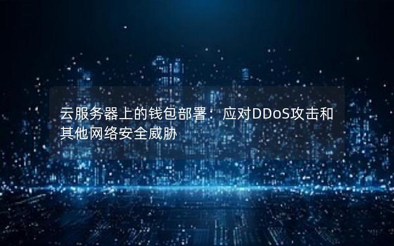 云服务器上的钱包部署：应对DDoS攻击和其他网络安全威胁