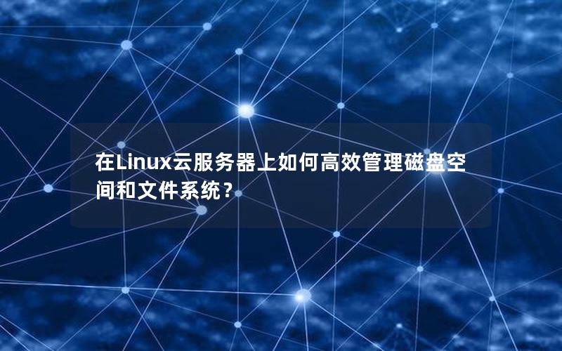 在Linux云服务器上如何高效管理磁盘空间和文件系统？