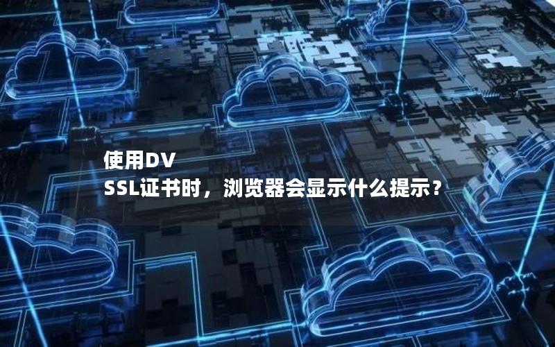 使用DV SSL证书时，浏览器会显示什么提示？