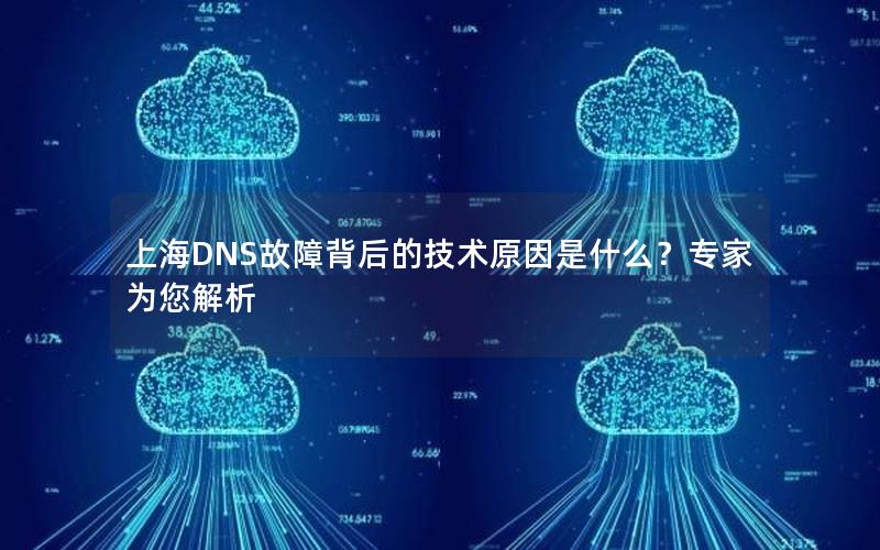 上海DNS故障背后的技术原因是什么？专家为您解析