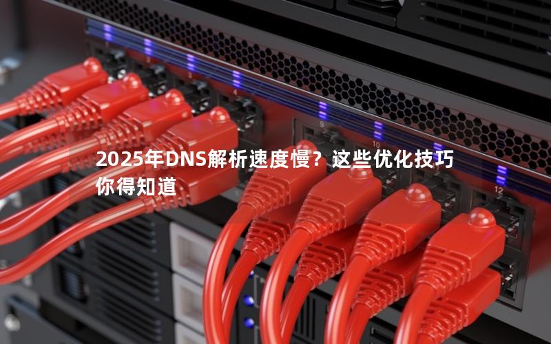 2025年DNS解析速度慢？这些优化技巧你得知道