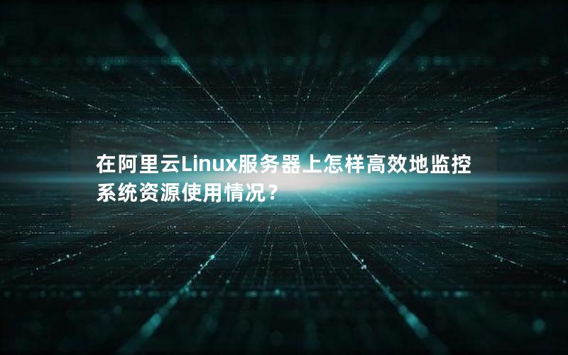 在阿里云Linux服务器上怎样高效地监控系统资源使用情况？