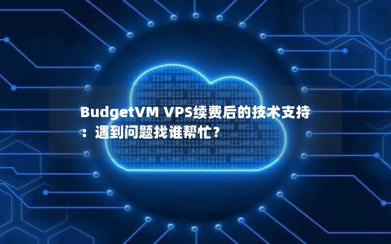 BudgetVM VPS续费后的技术支持：遇到问题找谁帮忙？