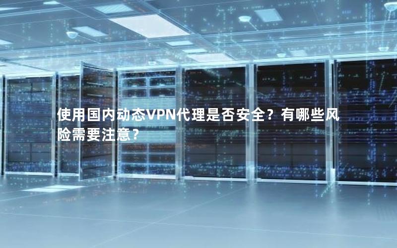 使用国内动态VPN代理是否安全？有哪些风险需要注意？