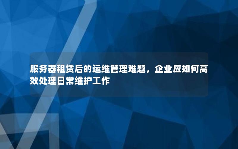 服务器租赁后的运维管理难题，企业应如何高效处理日常维护工作