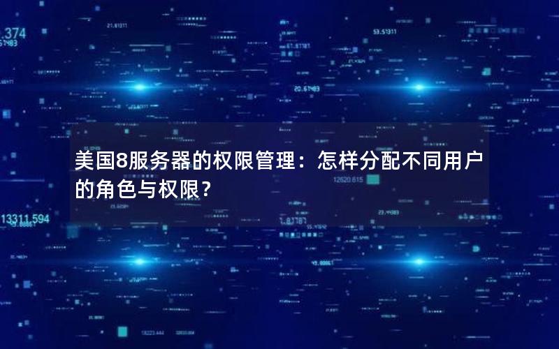 美国8服务器的权限管理：怎样分配不同用户的角色与权限？