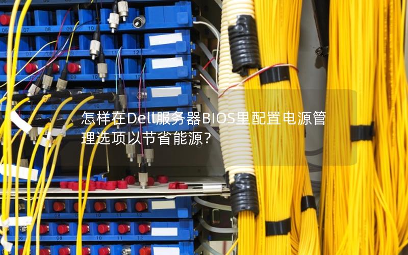 怎样在Dell服务器BIOS里配置电源管理选项以节省能源？