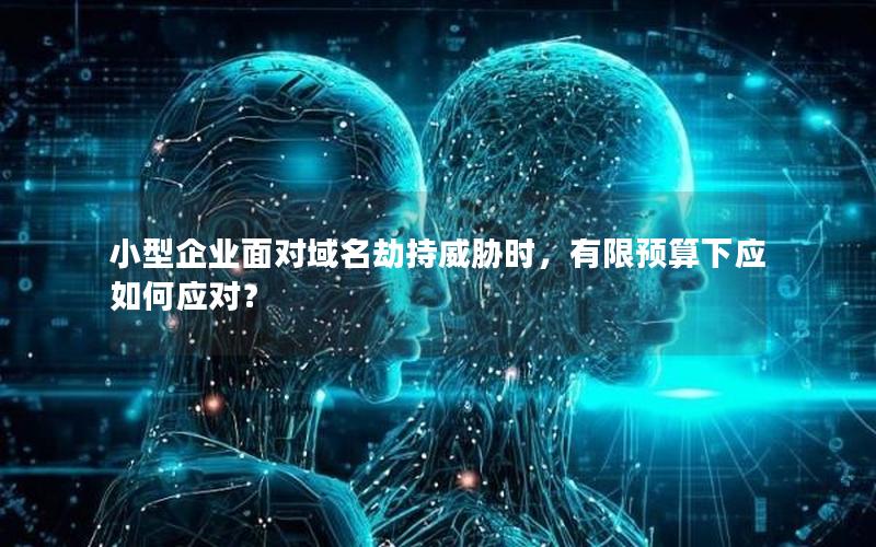 小型企业面对域名劫持威胁时，有限预算下应如何应对？