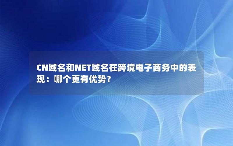 CN域名和NET域名在跨境电子商务中的表现：哪个更有优势？