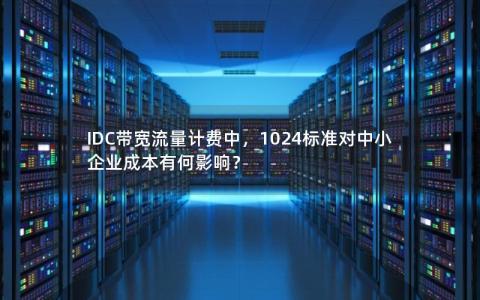 IDC带宽流量计费中，1024标准对中小企业成本有何影响？