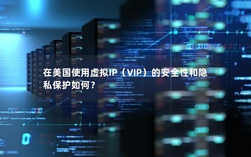 在美国使用虚拟IP（VIP）的安全性和隐私保护如何？