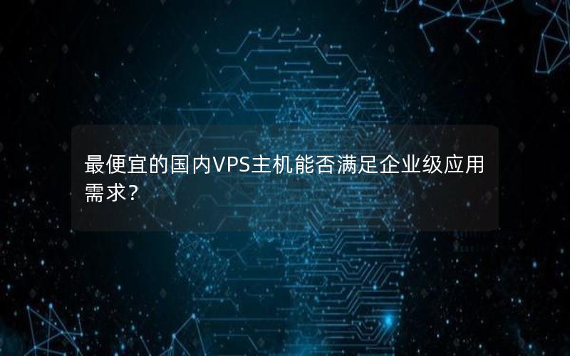 最便宜的国内VPS主机能否满足企业级应用需求？