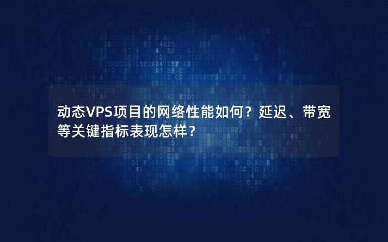 动态VPS项目的网络性能如何？延迟、带宽等关键指标表现怎样？