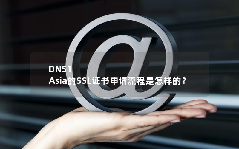 DNS1 Asia的SSL证书申请流程是怎样的？