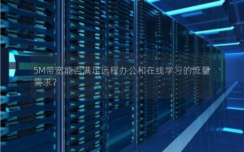 5M带宽能否满足远程办公和在线学习的流量需求？