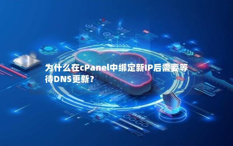 为什么在cPanel中绑定新IP后需要等待DNS更新？