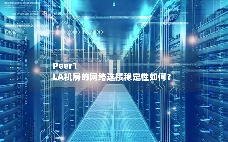 Peer1 LA机房的网络连接稳定性如何？