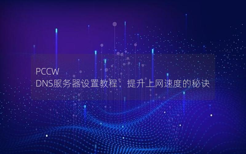 PCCW DNS服务器设置教程：提升上网速度的秘诀