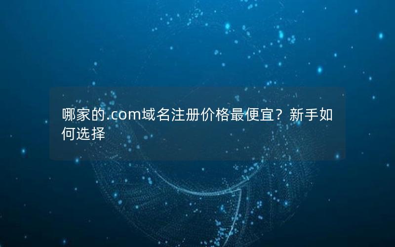 哪家的.com域名注册价格最便宜？新手如何选择