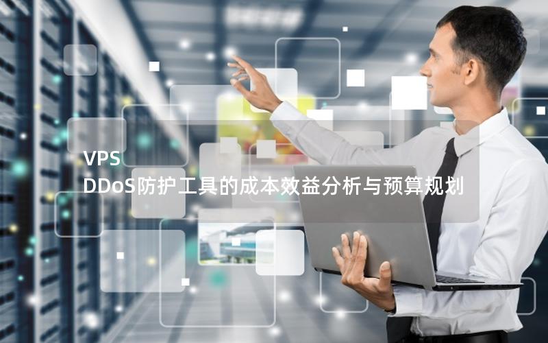 VPS DDoS防护工具的成本效益分析与预算规划