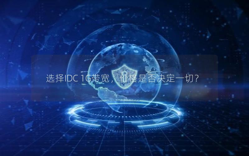 选择IDC 1G带宽，价格是否决定一切？