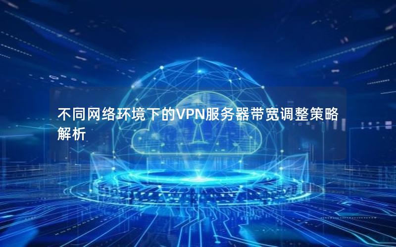 不同网络环境下的VPN服务器带宽调整策略解析