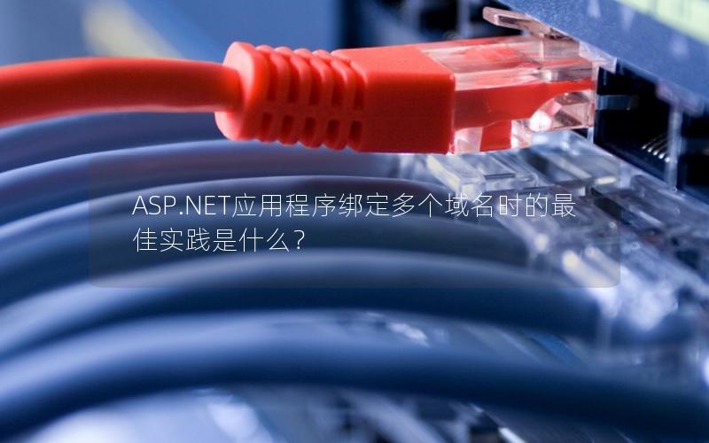 ASP.NET应用程序绑定多个域名时的最佳实践是什么？