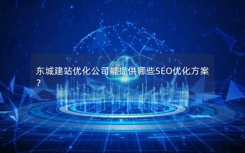 东城建站优化公司能提供哪些SEO优化方案？