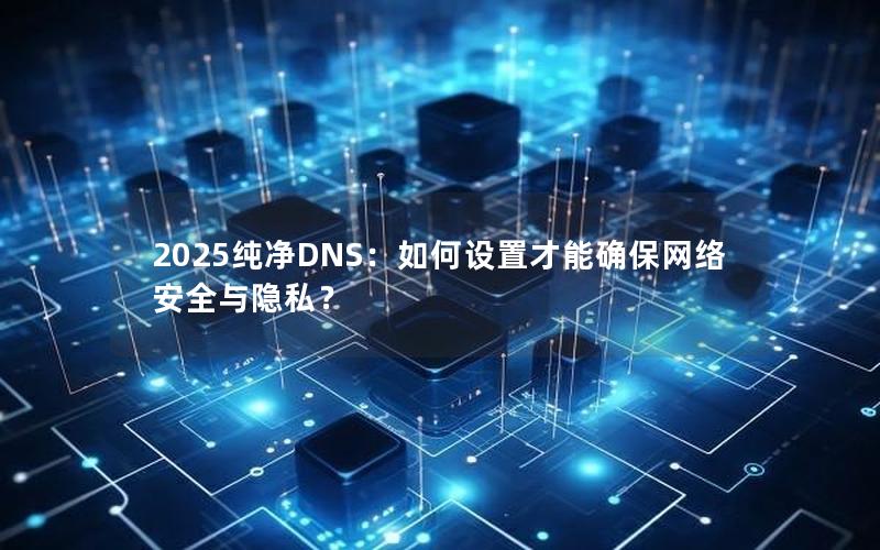 2025纯净DNS：如何设置才能确保网络安全与隐私？