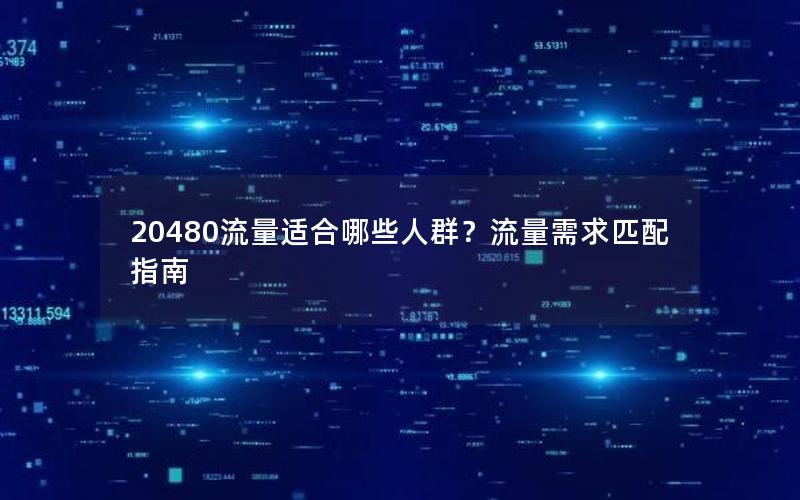 20480流量适合哪些人群？流量需求匹配指南