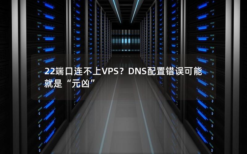 22端口连不上VPS？DNS配置错误可能就是“元凶”