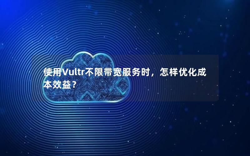 使用Vultr不限带宽服务时，怎样优化成本效益？