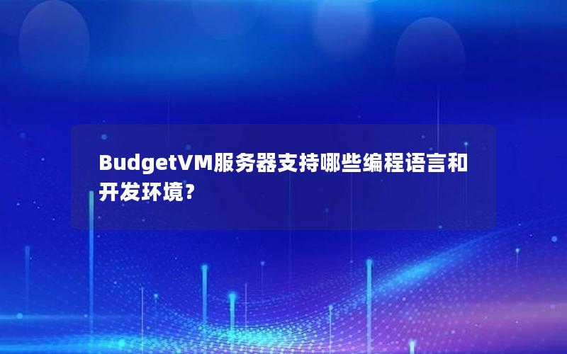 BudgetVM服务器支持哪些编程语言和开发环境？