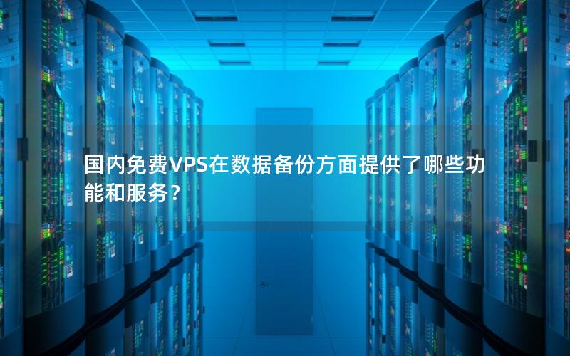 国内免费VPS在数据备份方面提供了哪些功能和服务？