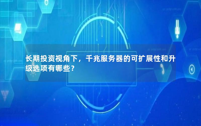 长期投资视角下，千兆服务器的可扩展性和升级选项有哪些？